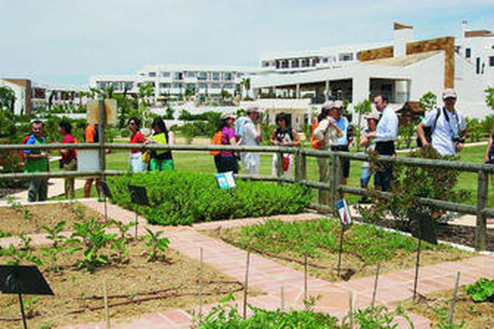 Varios clientes de uno de los hoteles de la firma malagueña junto a uno de los huertos ecológicos.