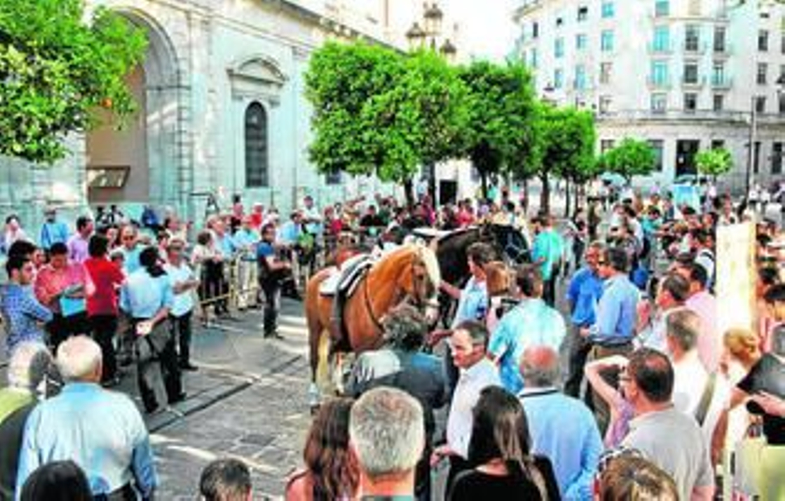 La exhibición de los caballos de rejoneo, a la puerta del Ayuntamiento. contó con gran interés para el público.