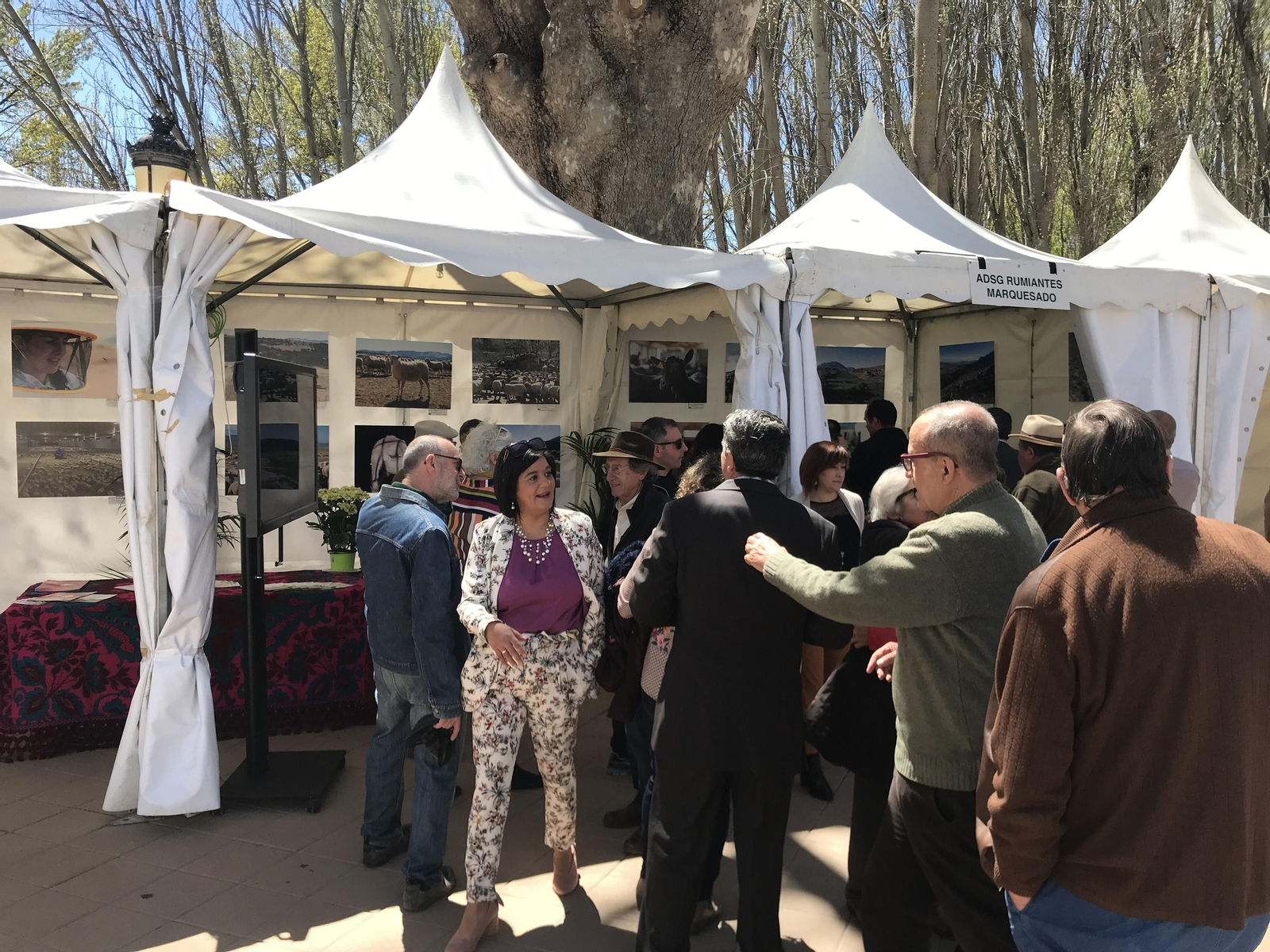 Imágenes de Terracultura 2019, en Chirivel
