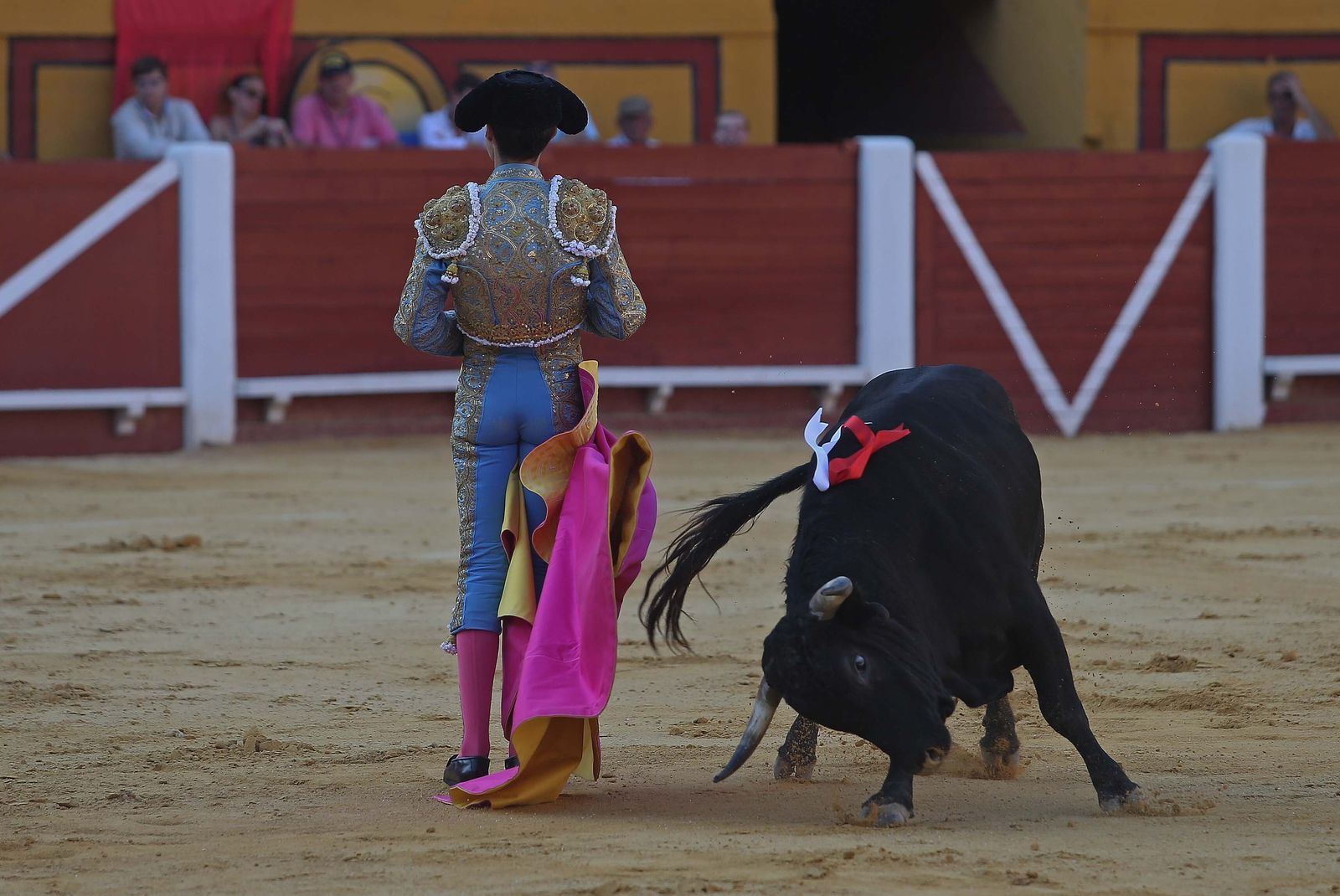 La novillada de Miguelín que abre la feria de Algeciras, en imágenes