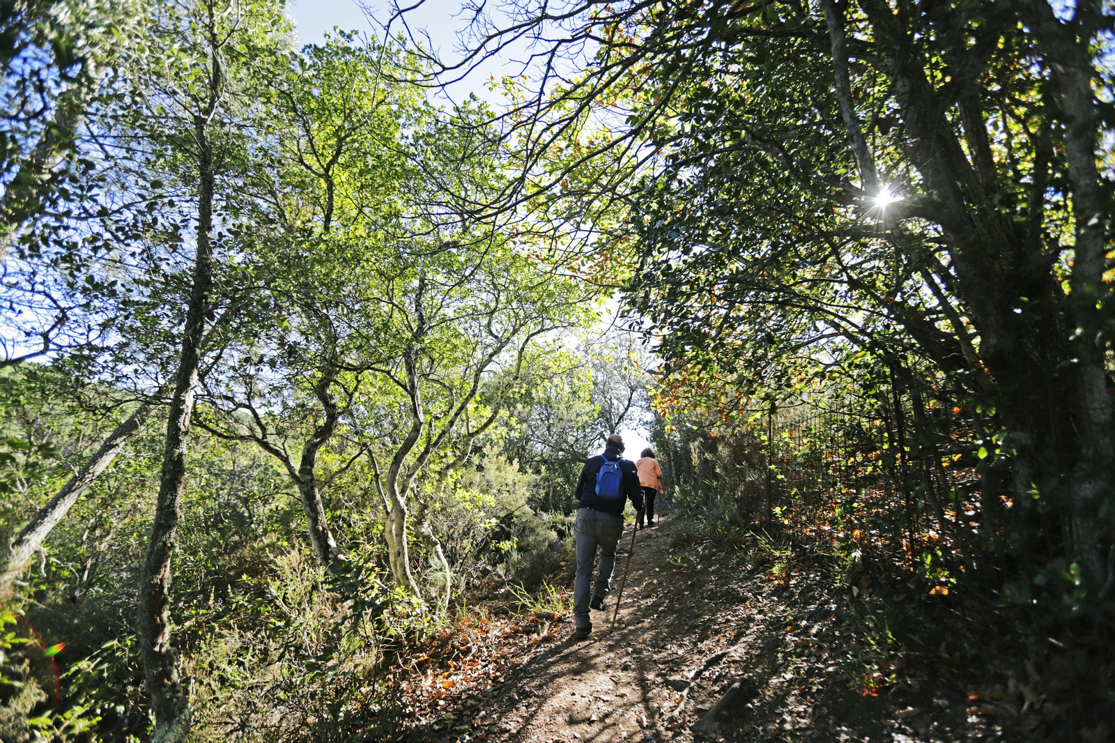 Ruta de Senderismo Charco Malo