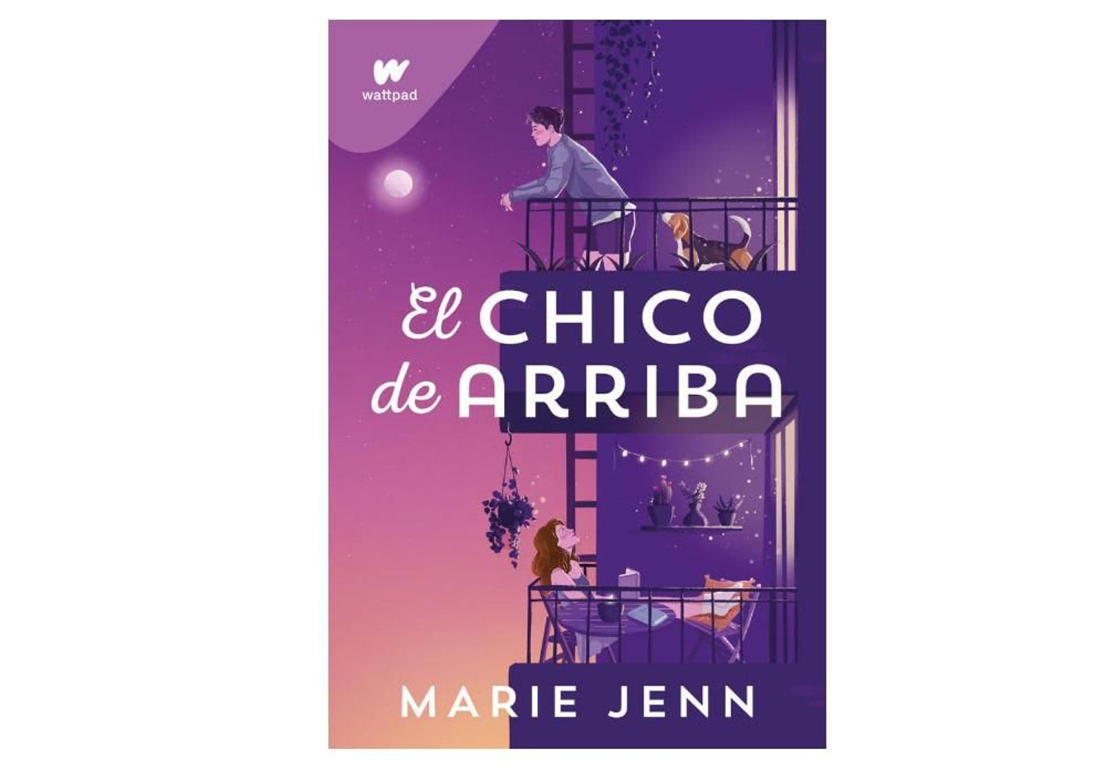 El Chico de arriba El Chico de arriba