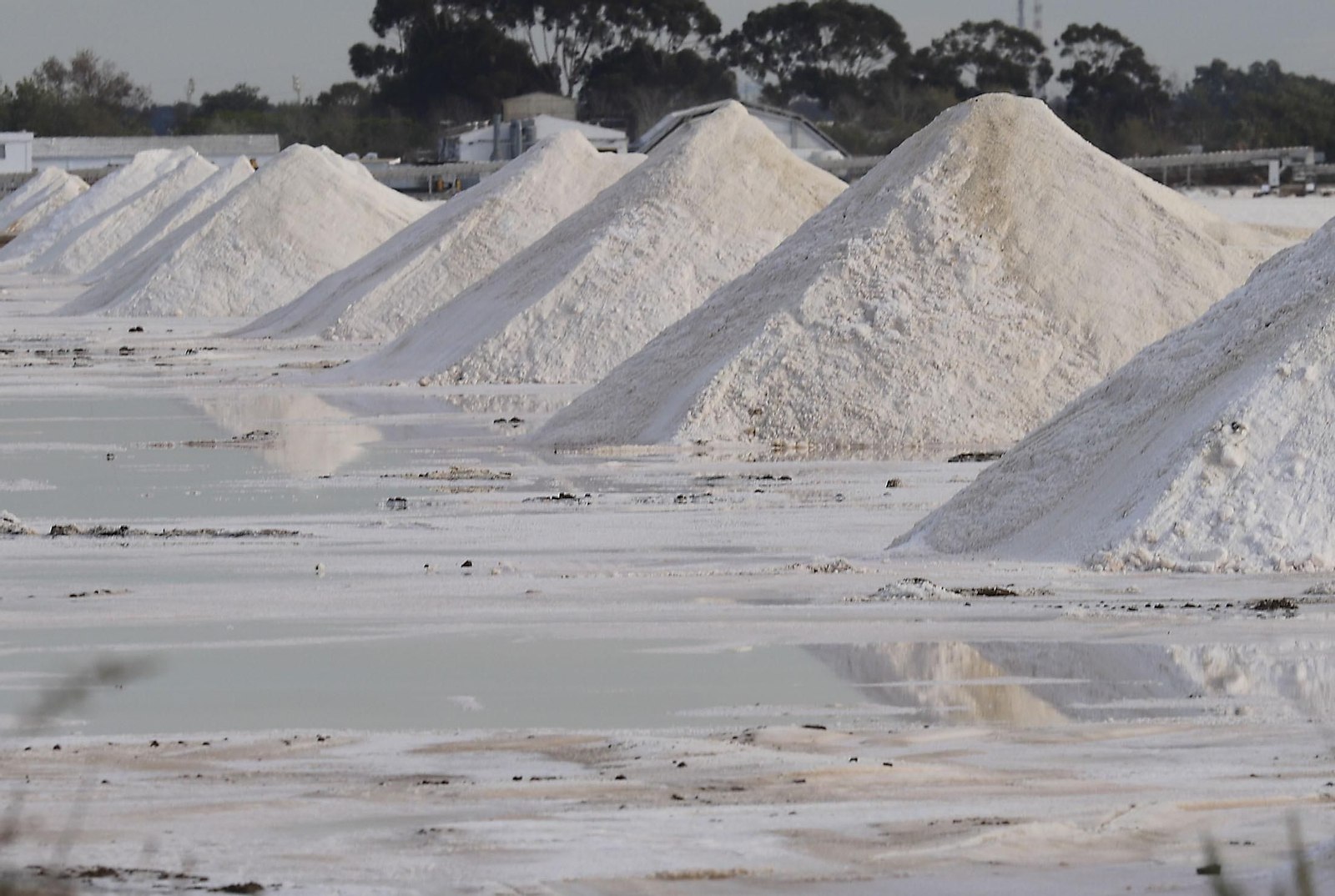 Paraje natural Marismas del Odiel, paraíso de Huelva entre salinas