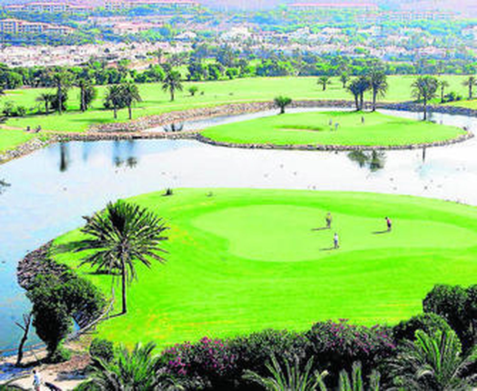 El Hotel Golf Almerimar cuenta también gestiona el Campo de Golf Almerimar y una Casa Club de Golf.