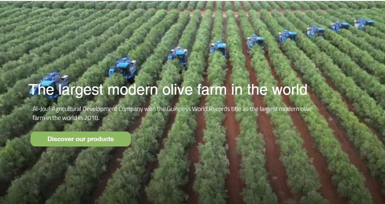 Imagen promocional de la empresa de Arabía Saudí.