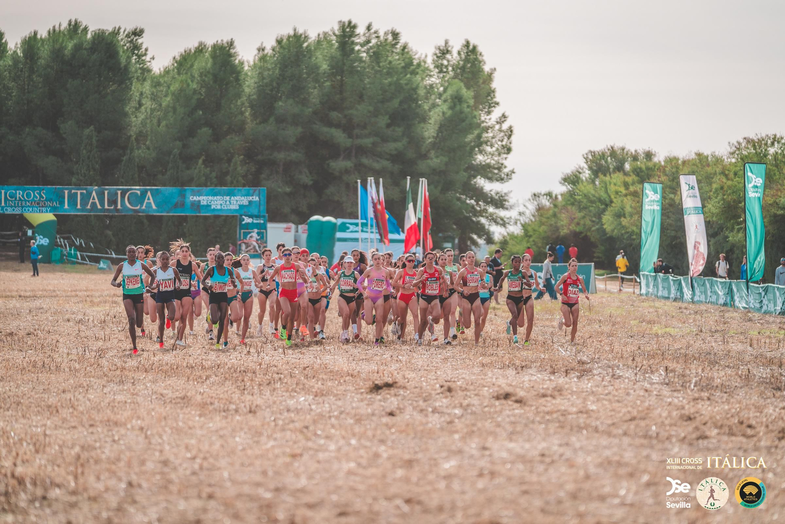 Búscate en las fotos del Cross de Itálica 2025 | 11