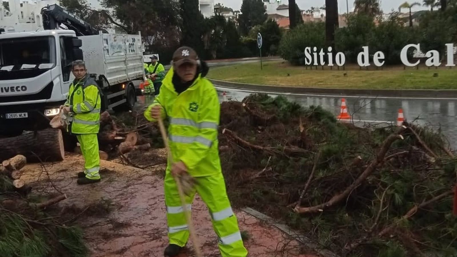 Operarios retiran ramas caídas en Calahonda (Mijas).