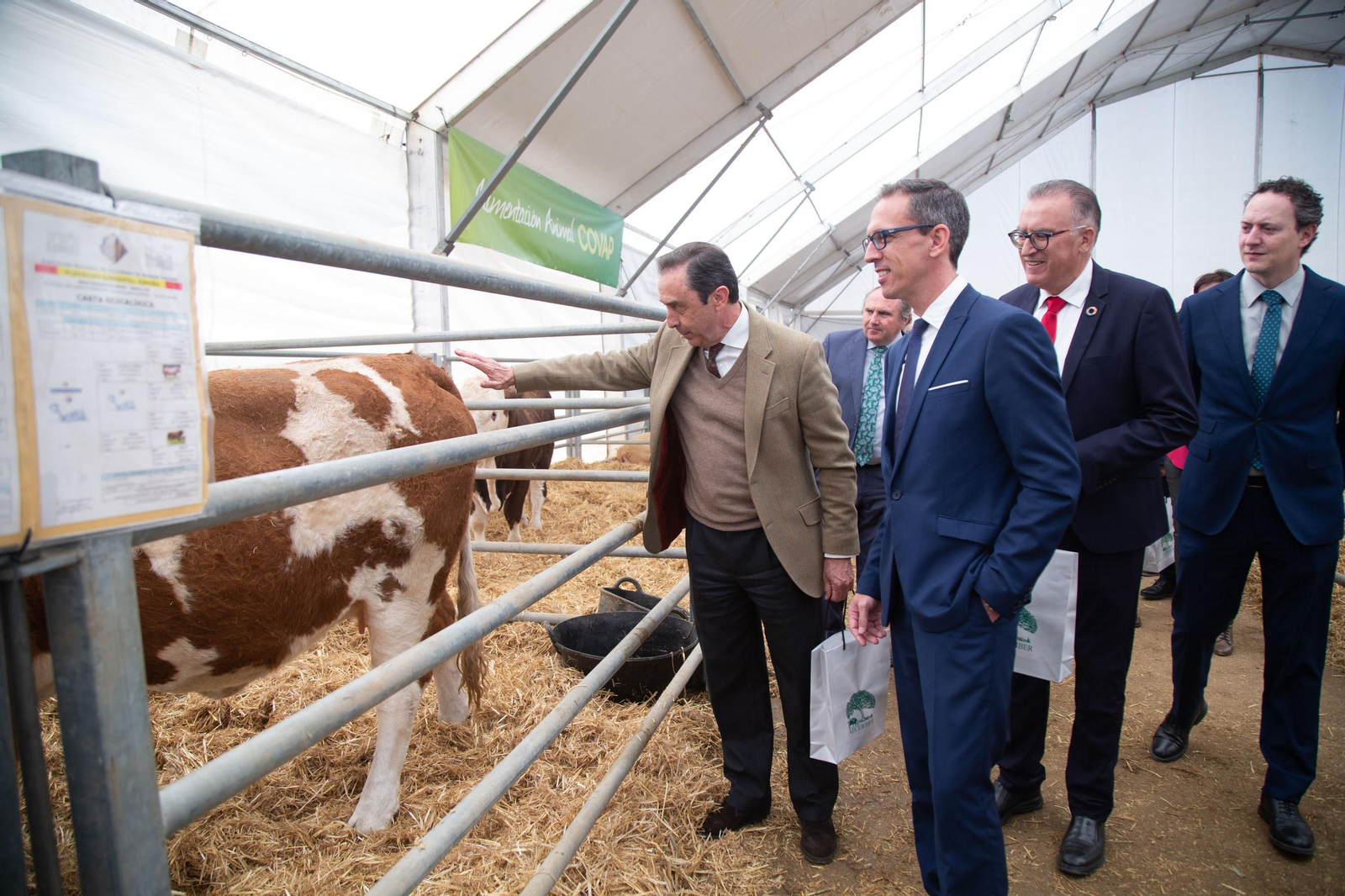 Un recorrido en fotografías por la Feria Agroganadera de Los Pedroches