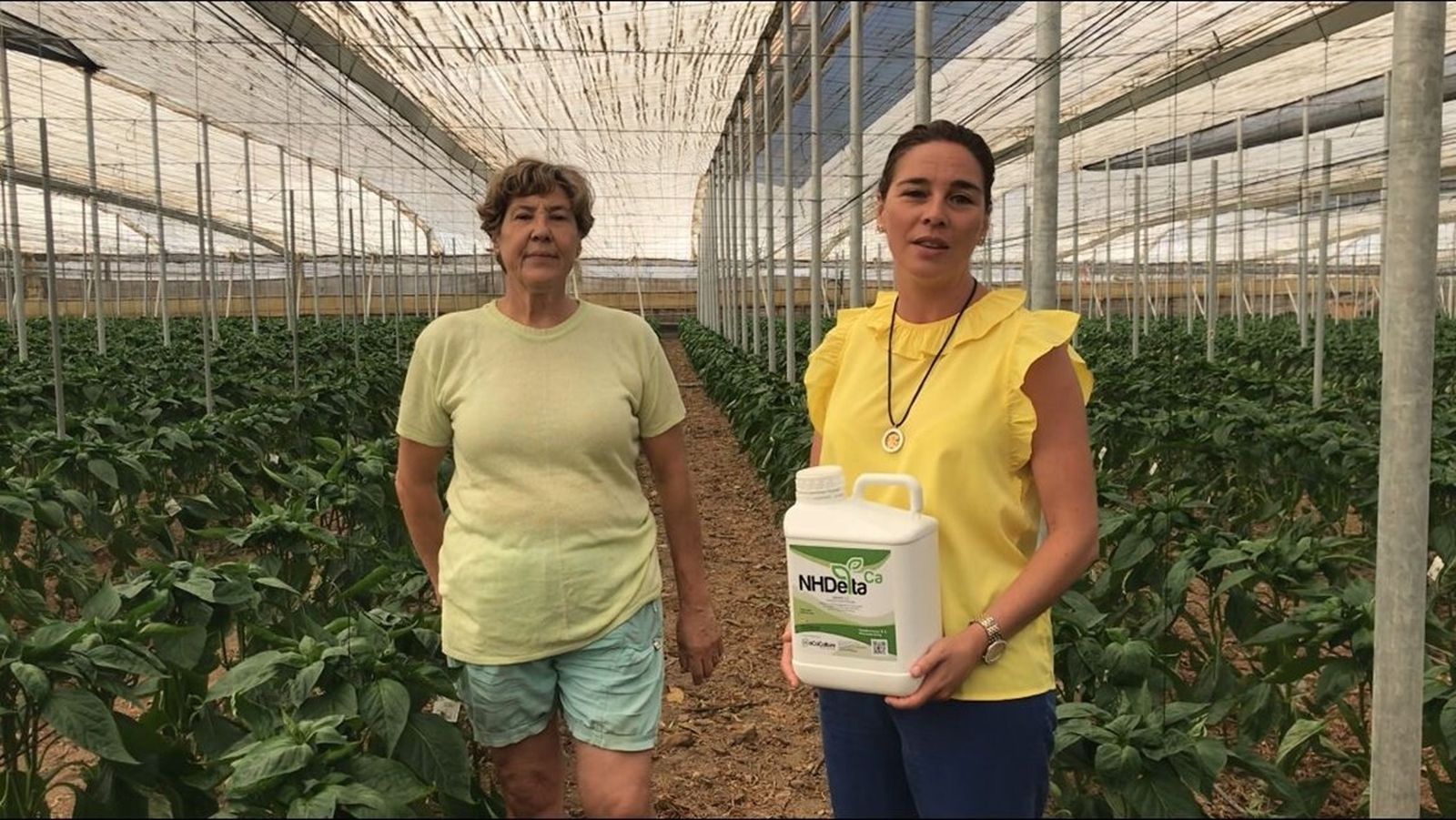 Ecoculture de soluciones contra la ola de calor