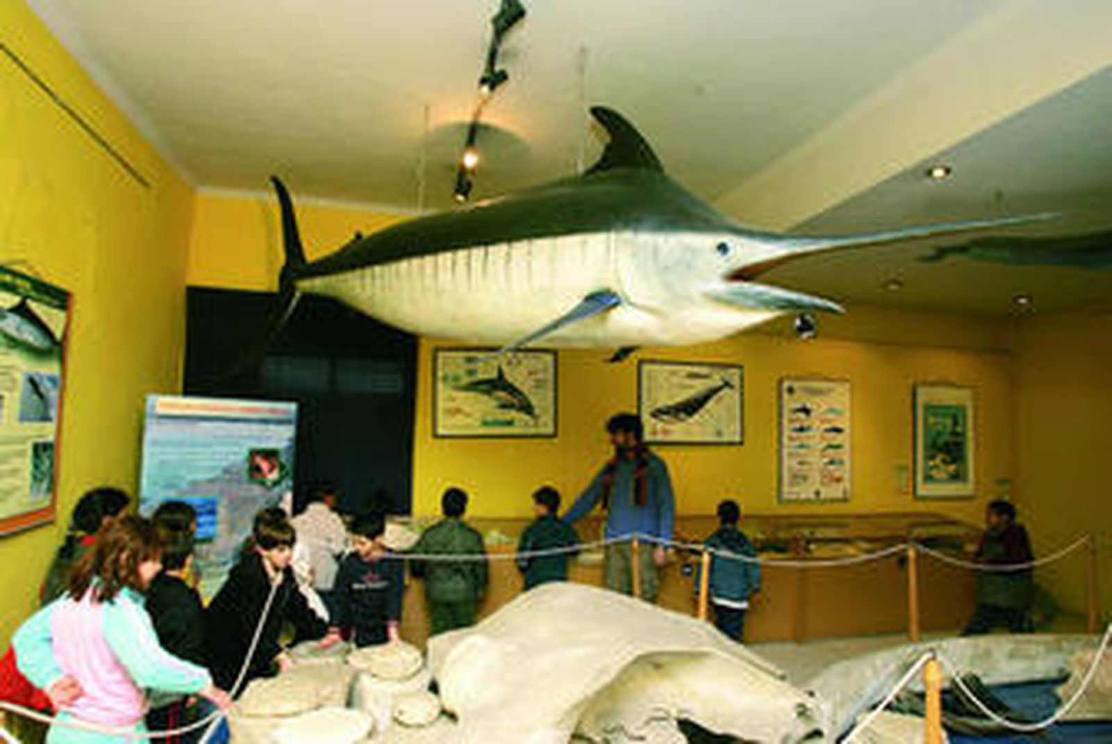 Zona museística de las actuales instalaciones del Aula del Mar en el Puerto de Málaga.