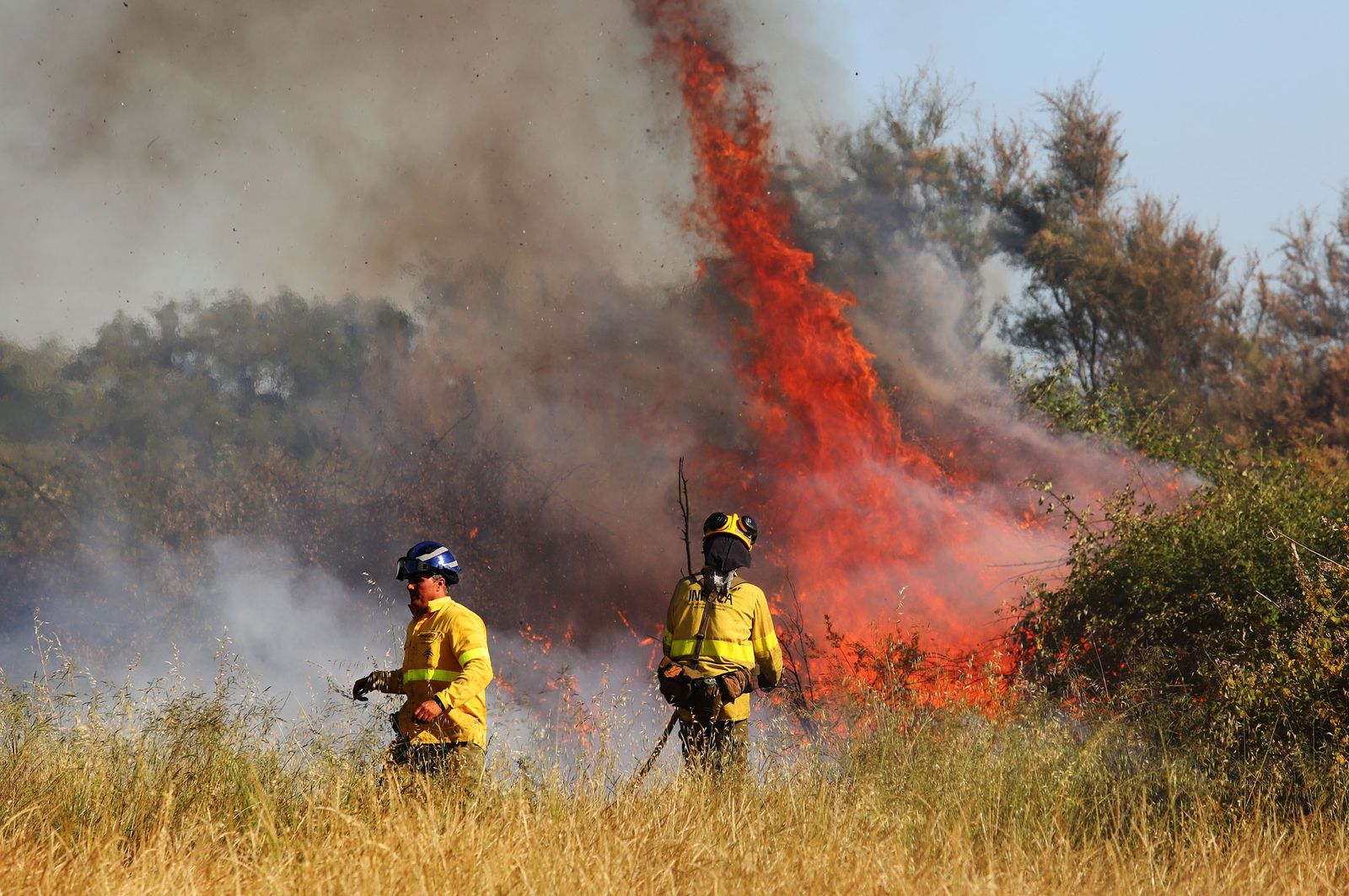 Efectivos del Infoca en un incendio declarado en Los Mimbrales hace veinte días.