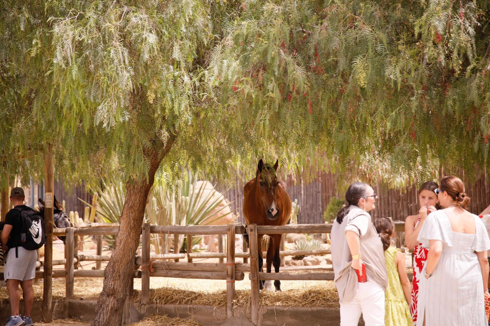 Imágenes del museo a los grandes empresarios y familias históricas de Almería