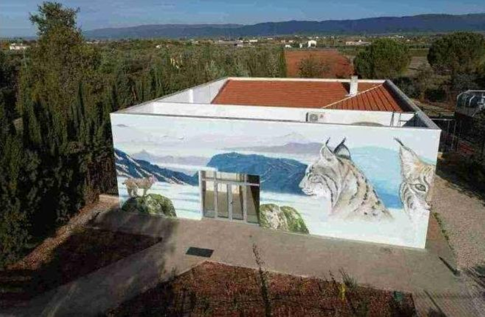 El Ecomuseo del Lince Ibérico es uno de esos centros de divulgación natural que bien merecen una visita.