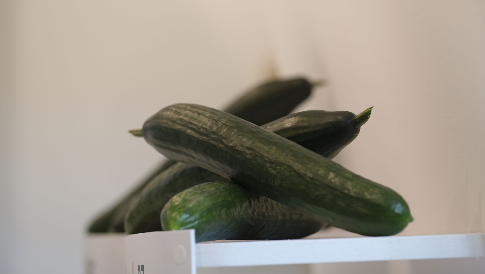 Imágenes del primer día de Expolevante Níjar.