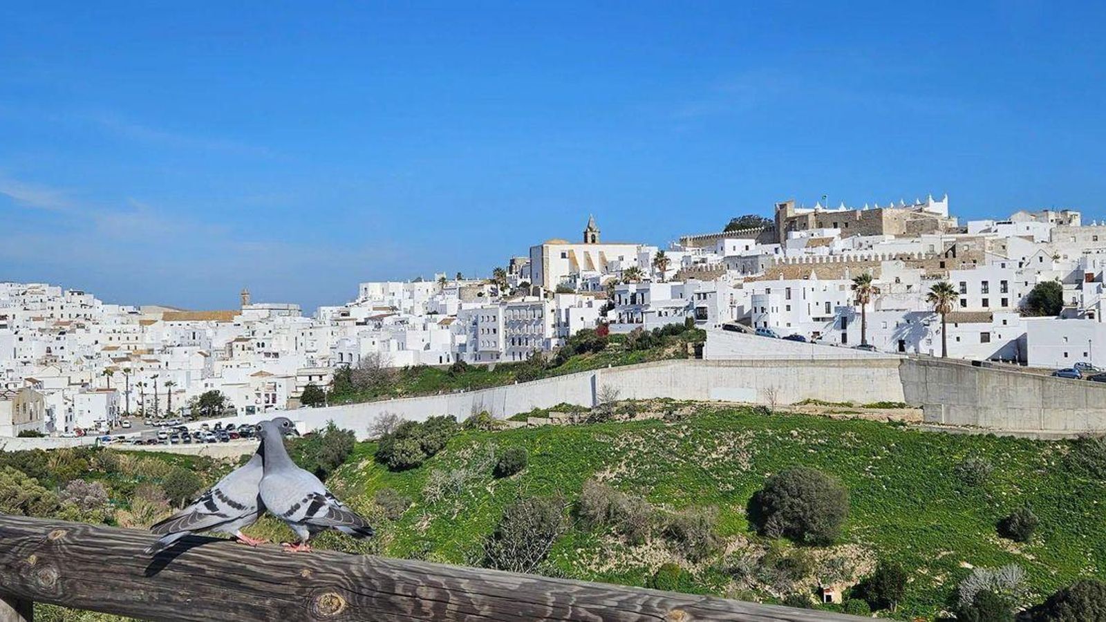 Vistas de Vejer de la Frontera desde uno de sus miradores