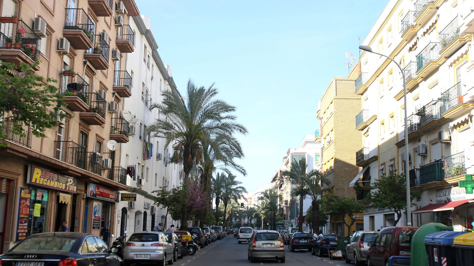 La avenida en la actualidad con su hilera de palmeras.