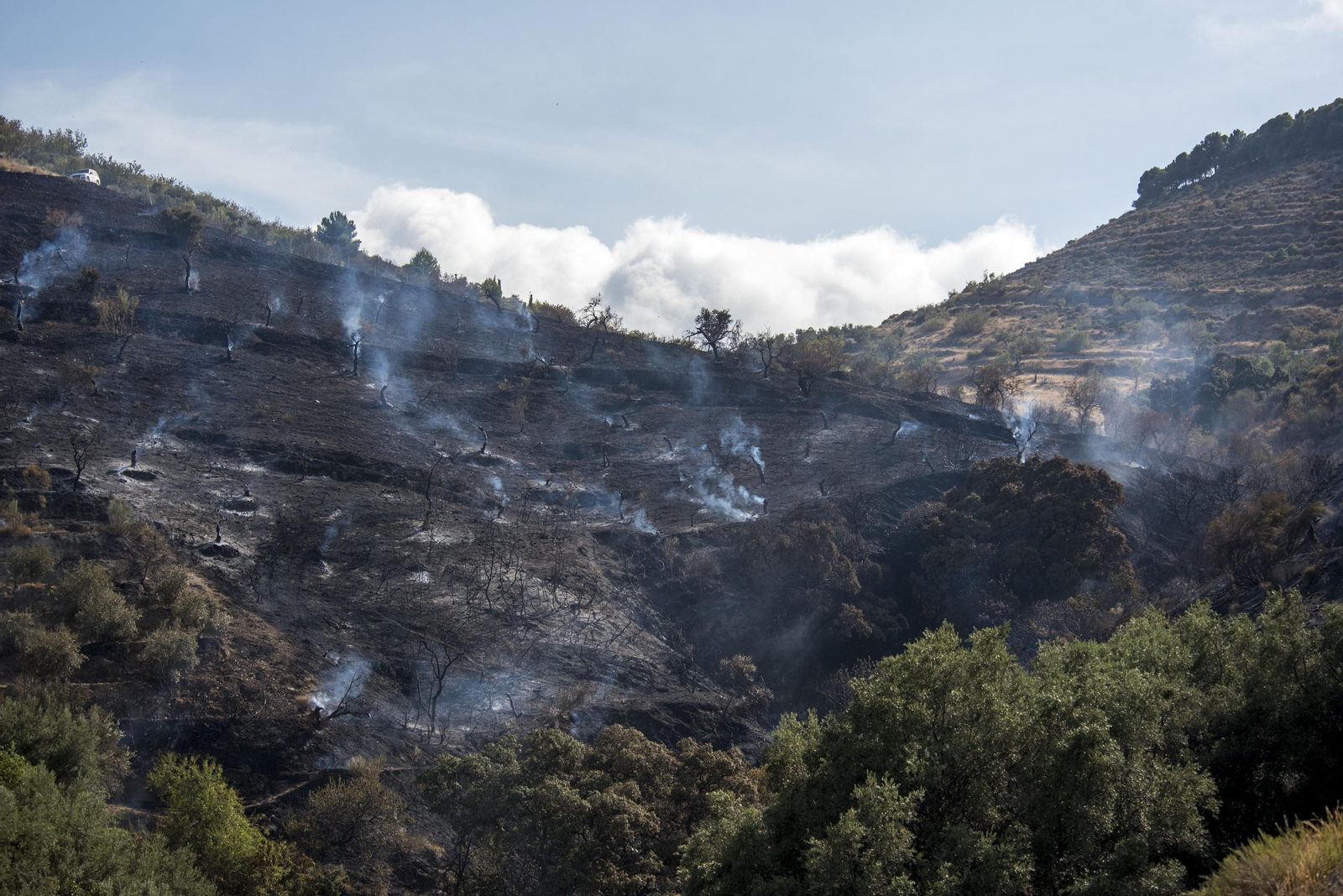 Imágenes del incendio ya estabilizado en Pinos del Valle