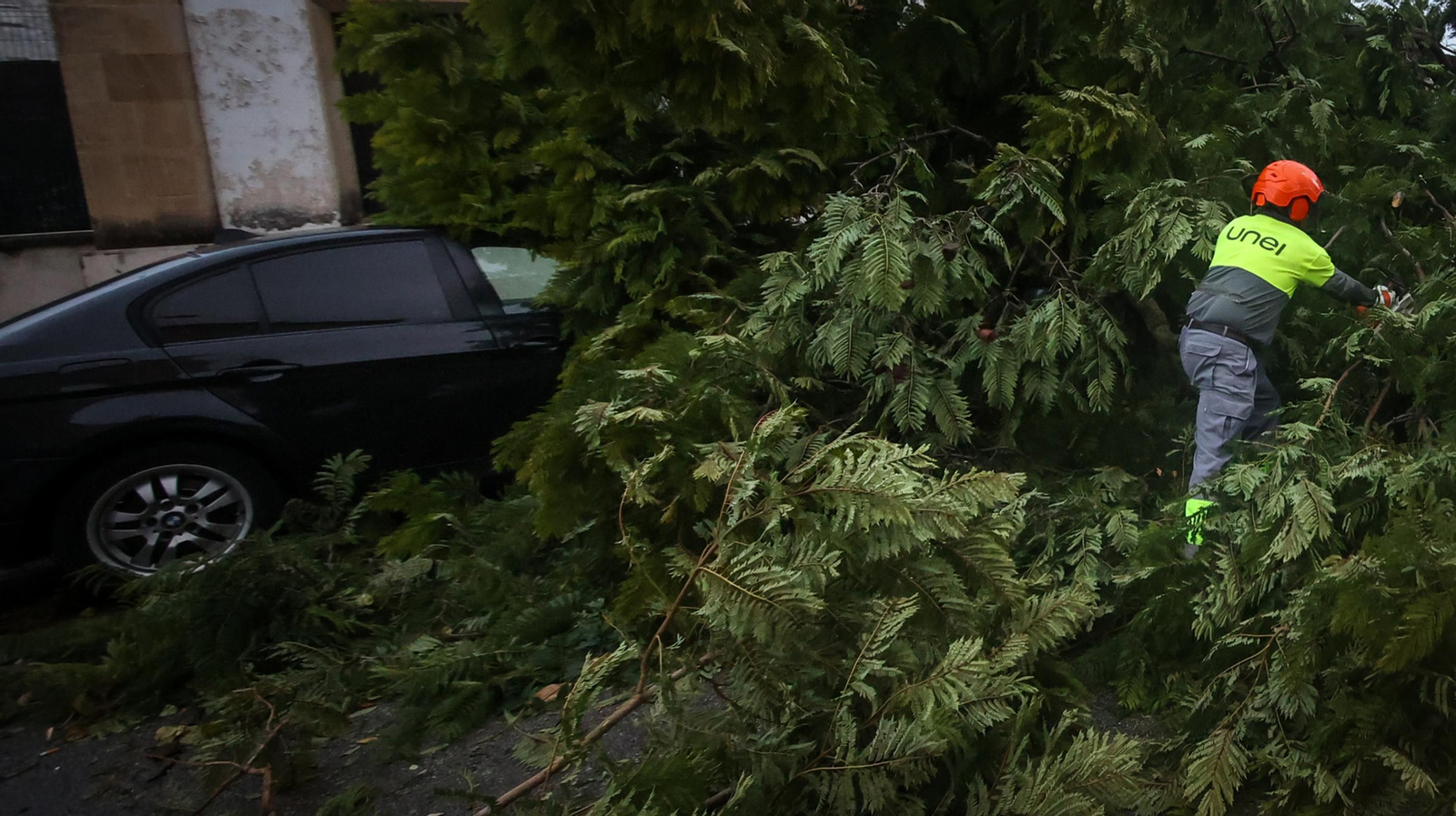 Caos en Jerez por los destrozos del temporal de viento