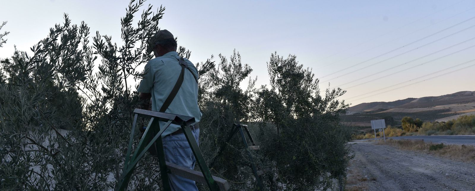 Un agricultor recogiendo aceituna en la Sierra Sur, en una imagen de archivo.