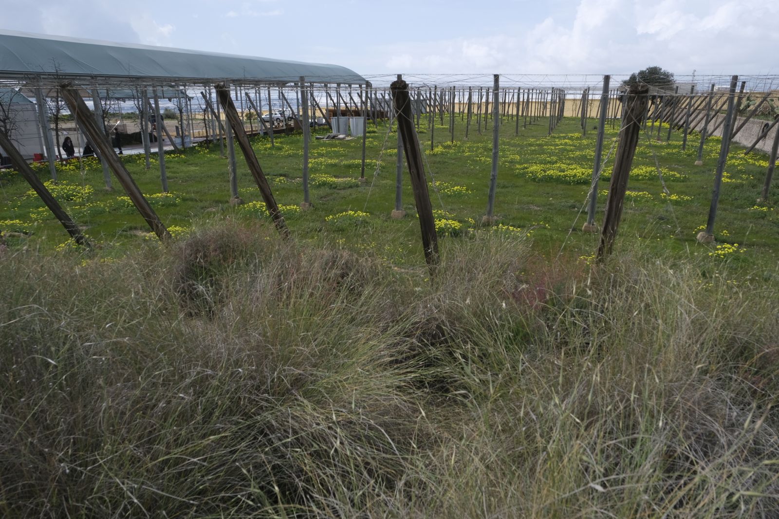 Fotogalería presentación proyecto RECICLAND IFAPA. La Mojonera (Almería)