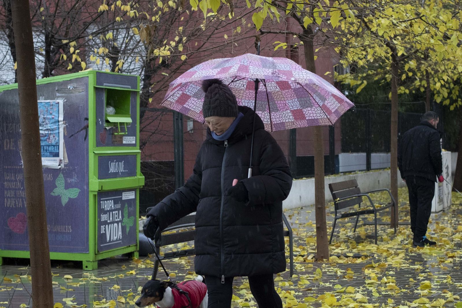 Granada bajo el temporal: imágenes de la ciudad durante la alerta naranja