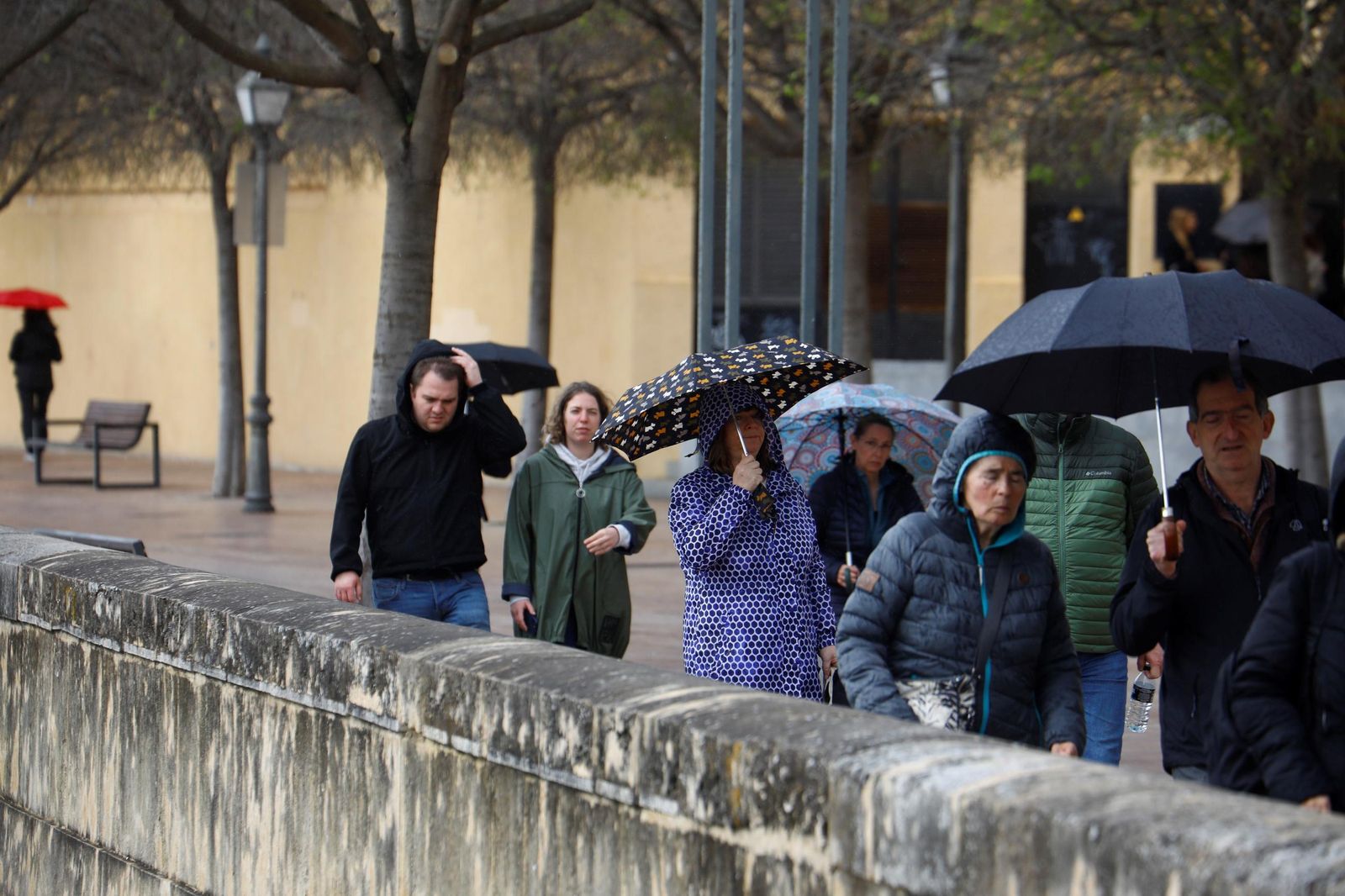 El paso de la borrasca Nuria por Córdoba, en imágenes