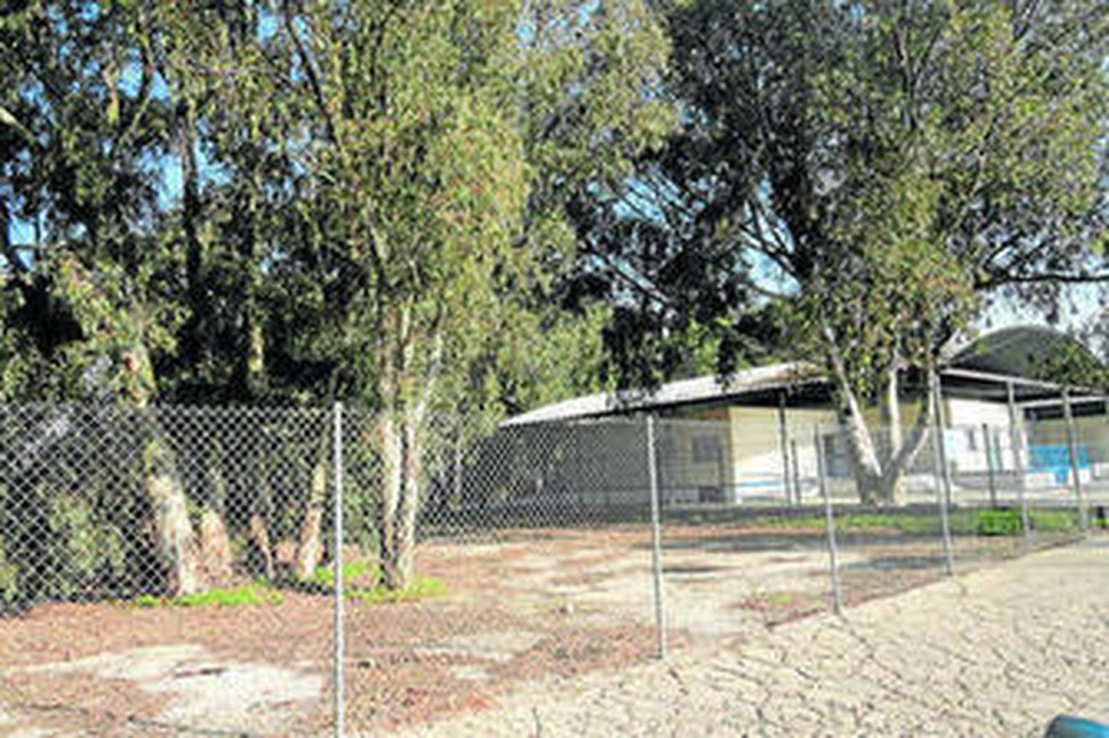 Una imagen de la parcela anexa al colegio público Valdelagrana.