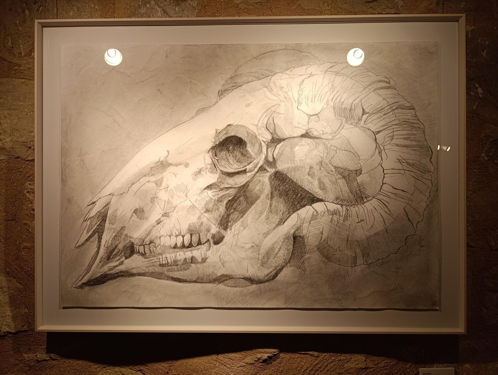 Máscaras, corderos y un retrato gigante del Papa Francisco: así es la impactante muestra ‘Et in Arcadia ego’ en Jaén