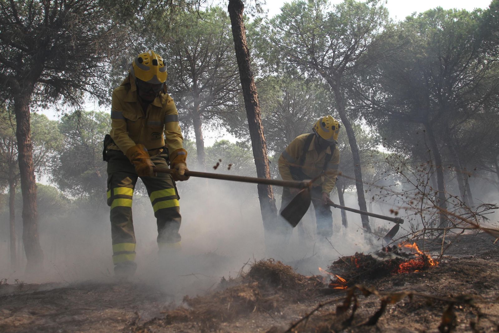 Las imágenes del incendio en Moguer y Mazagón