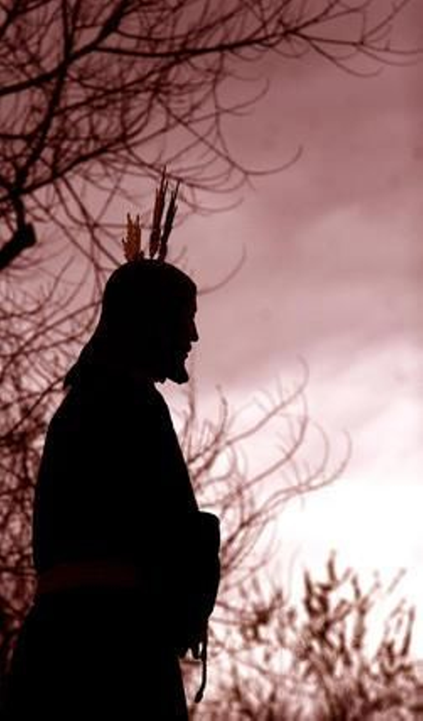 Cautivo.

Foto: Josué Correa