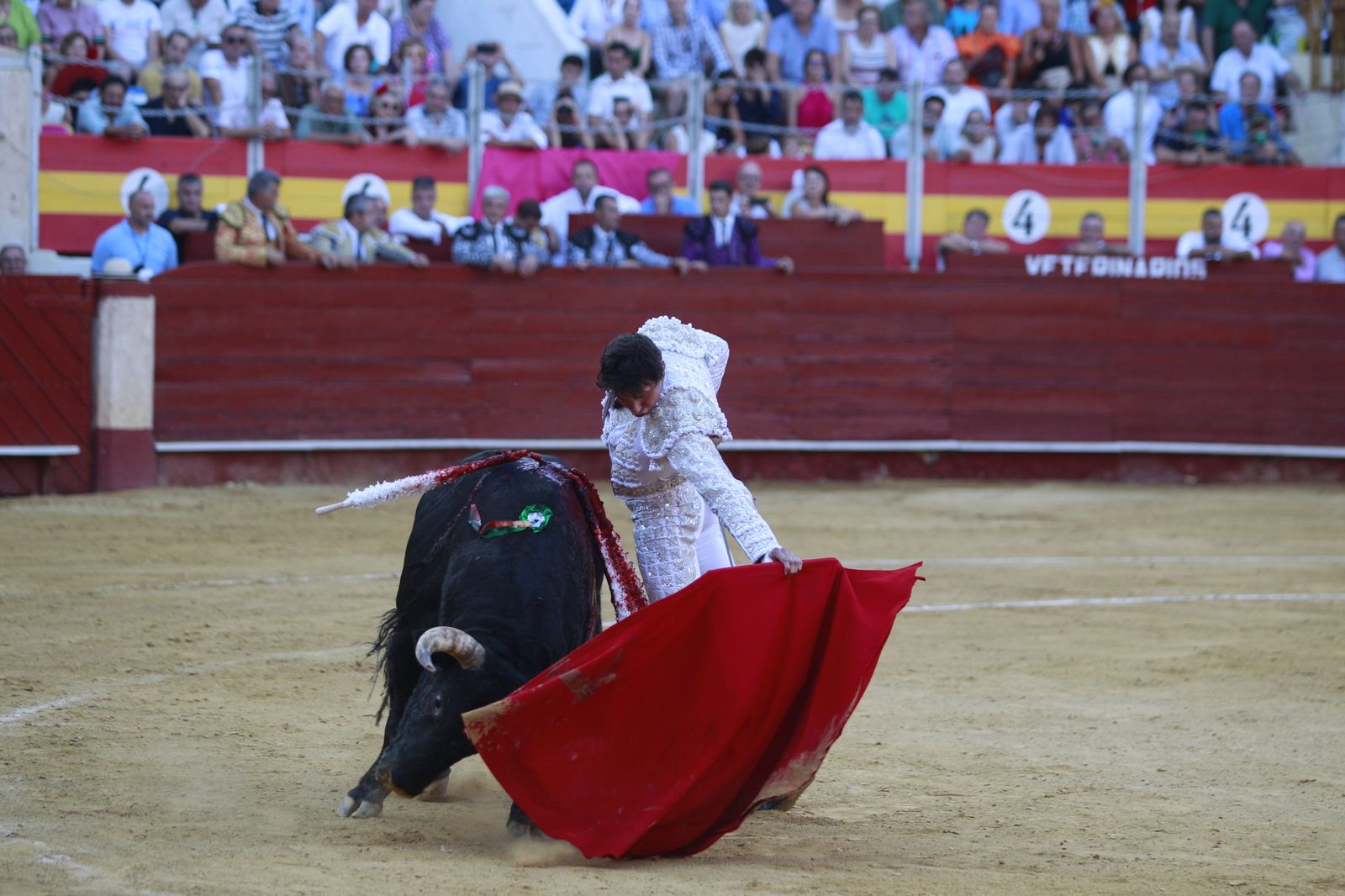 Imágenes del triunfo del torero almeriense Jorge Martínez el día de su alternativa