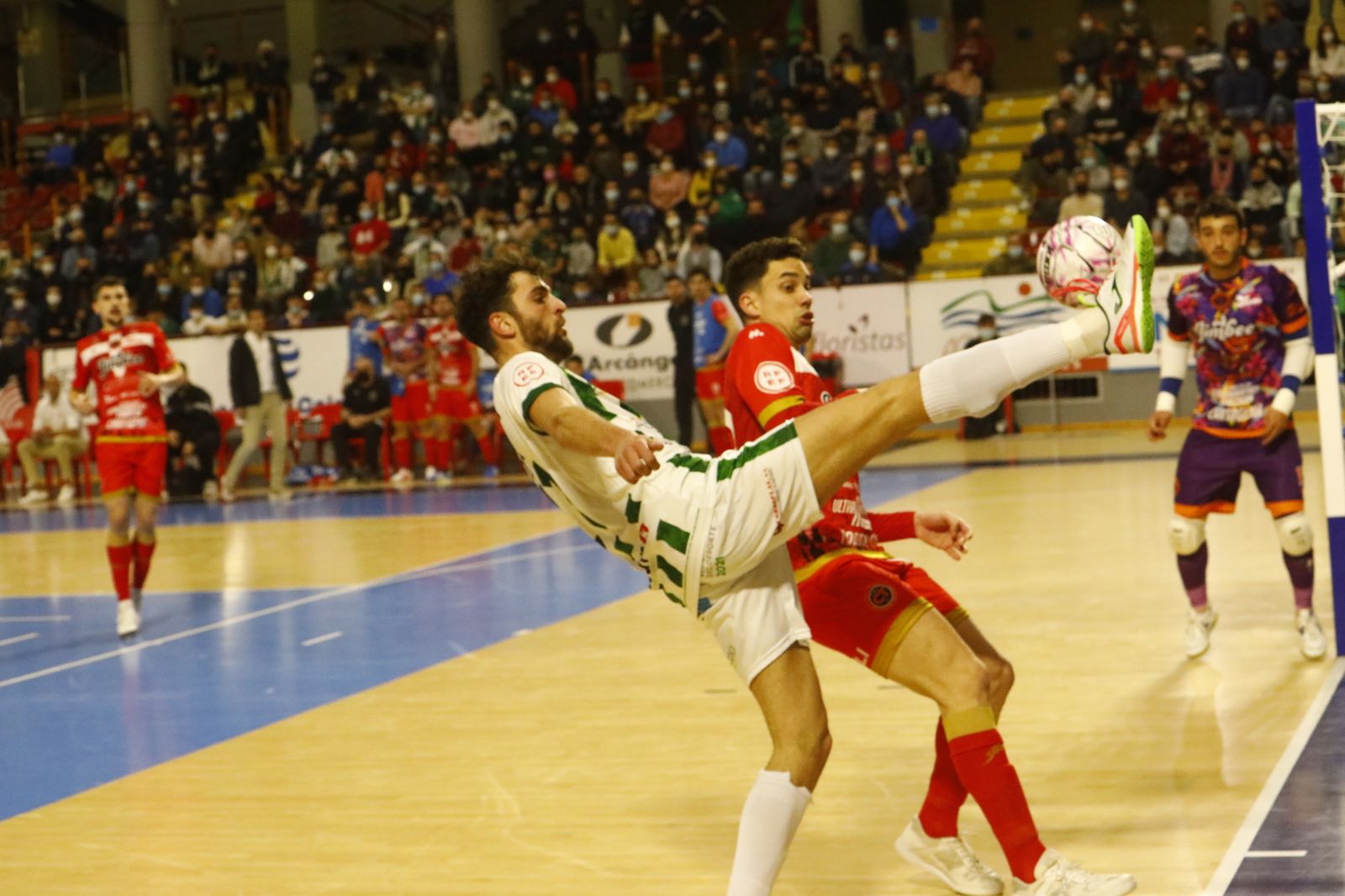 El empate del Córdoba Futsal ante el Jimbee Cartagena, en imágenes