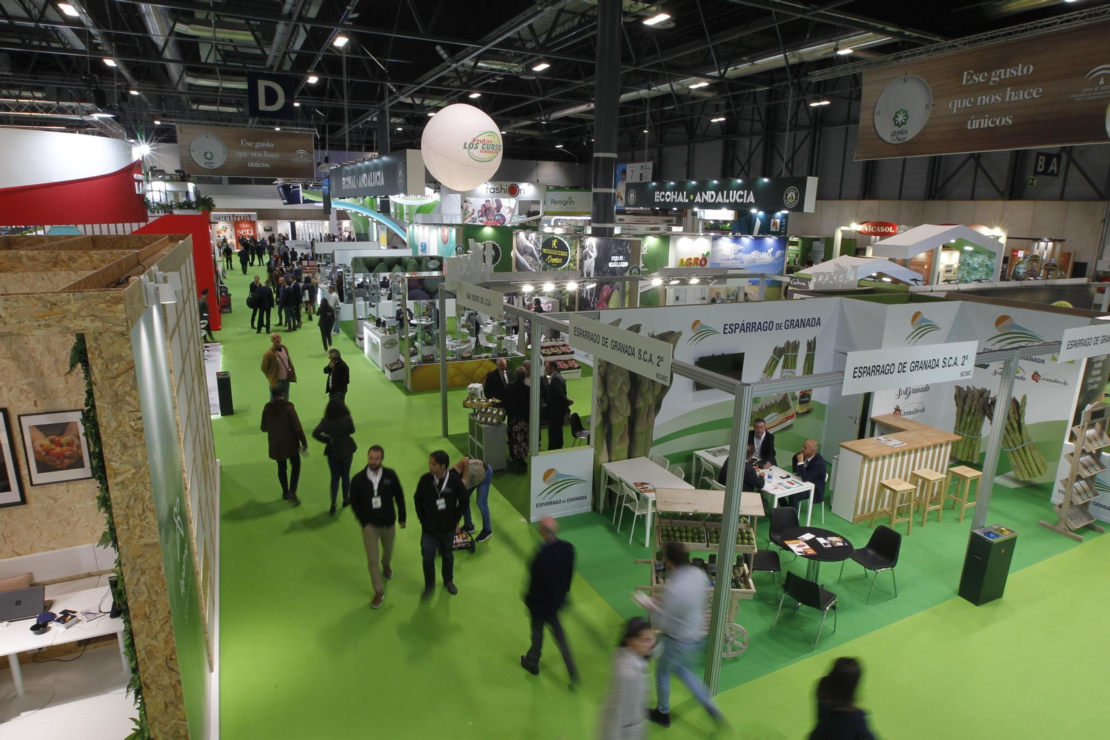 Fotogalería Fruit Attraction 2019. Madrid