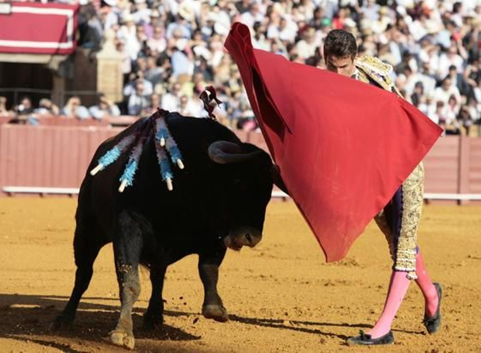 Manzanares con el segundo de la tarde en la treceava del abono de La Maestranza.

Foto: Juan Carlos Muñoz