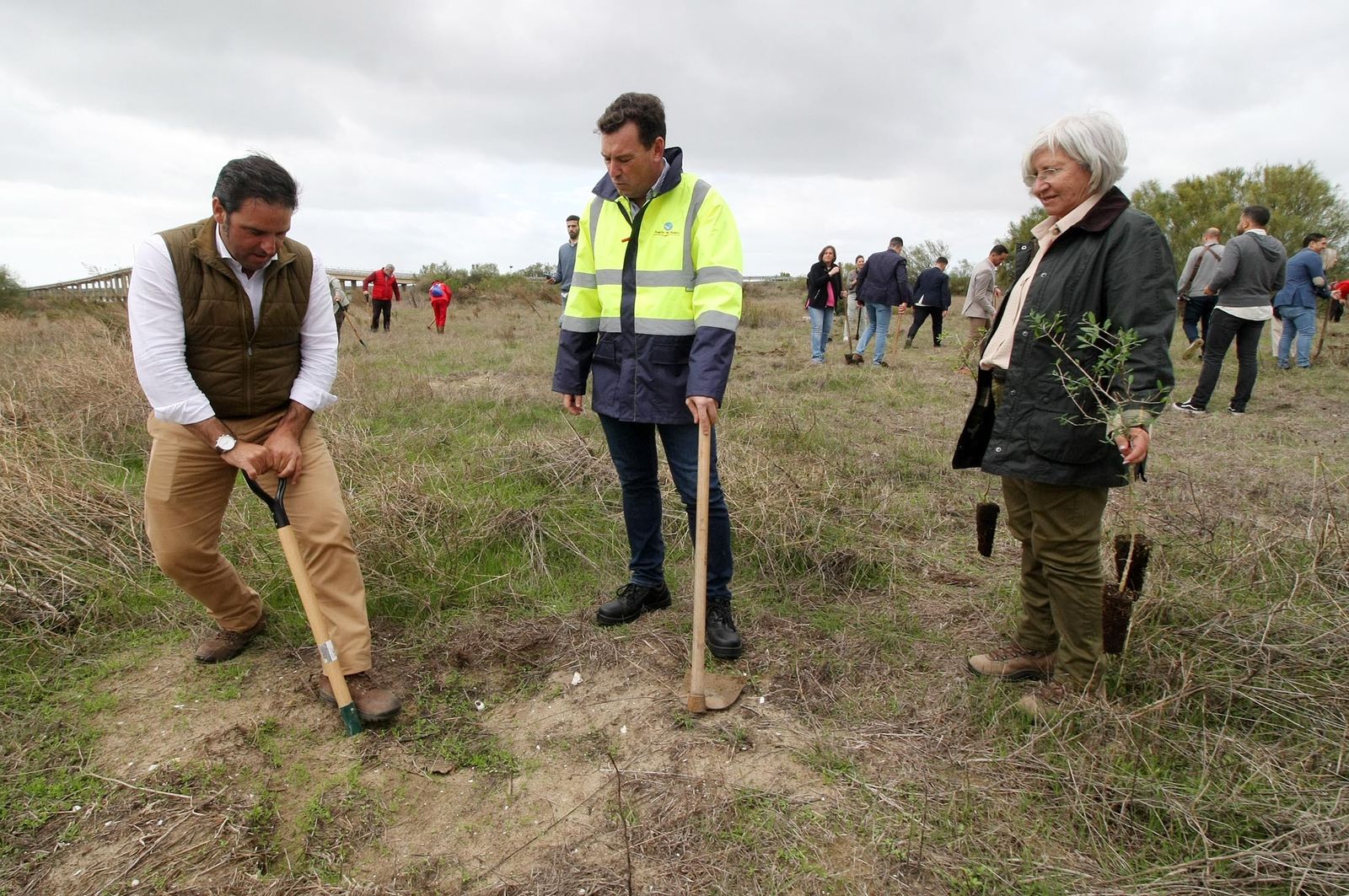 Imágenes de la plantación de árboles en los Llanos de Bacuta, en el Paraje Natural Marismas del Odiel, Huelva