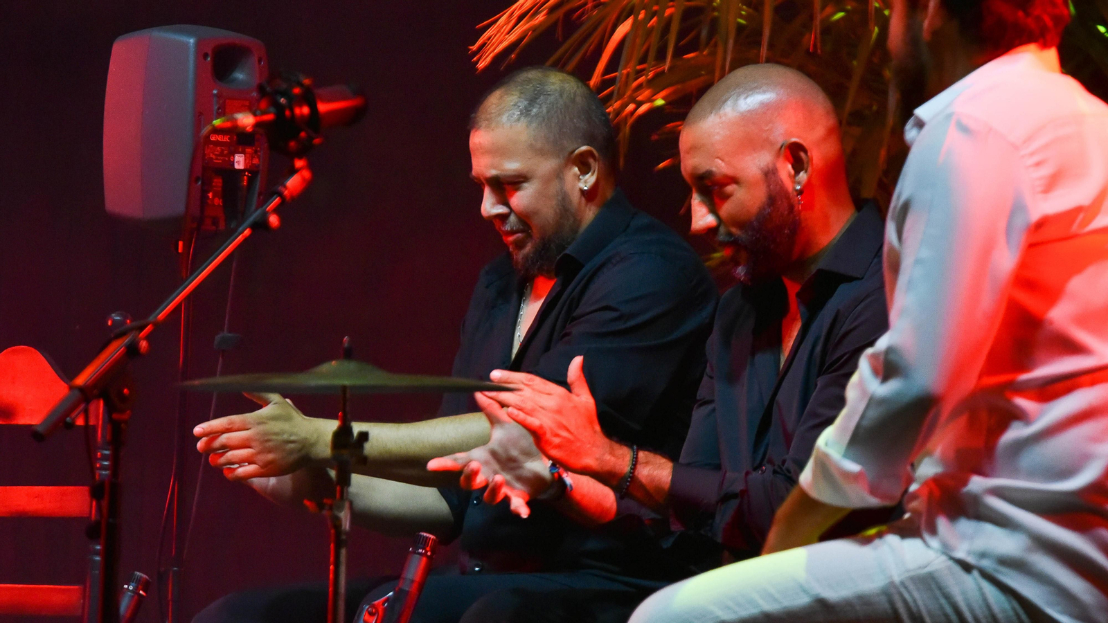 Fotos del concierto de Diego del Morao en el IX Encuentro Internacional de guitarra Paco de Lucía