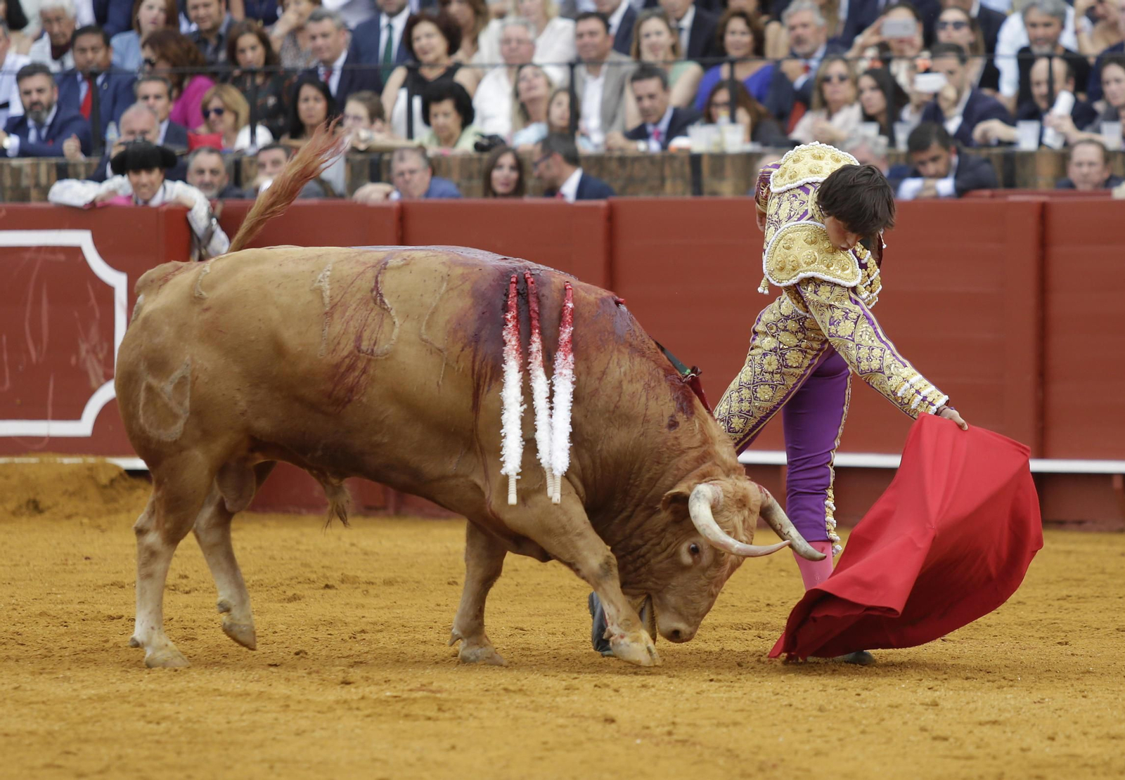 Las imágenes de la primera de abono de La Maestranza