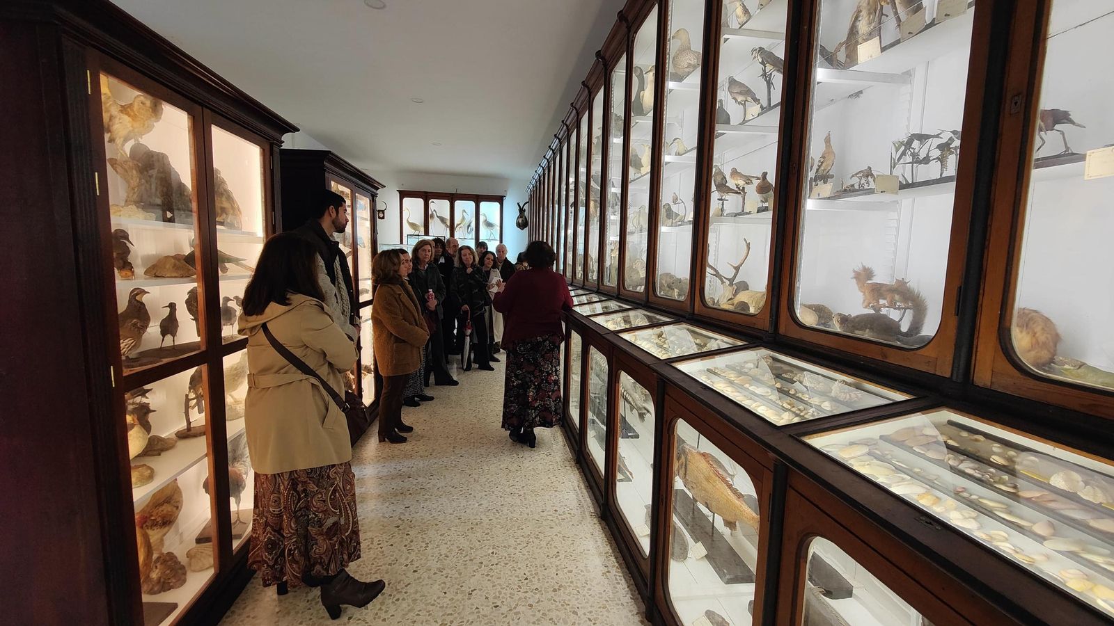 Algunas de las vitrinas que forman parte del Museo.