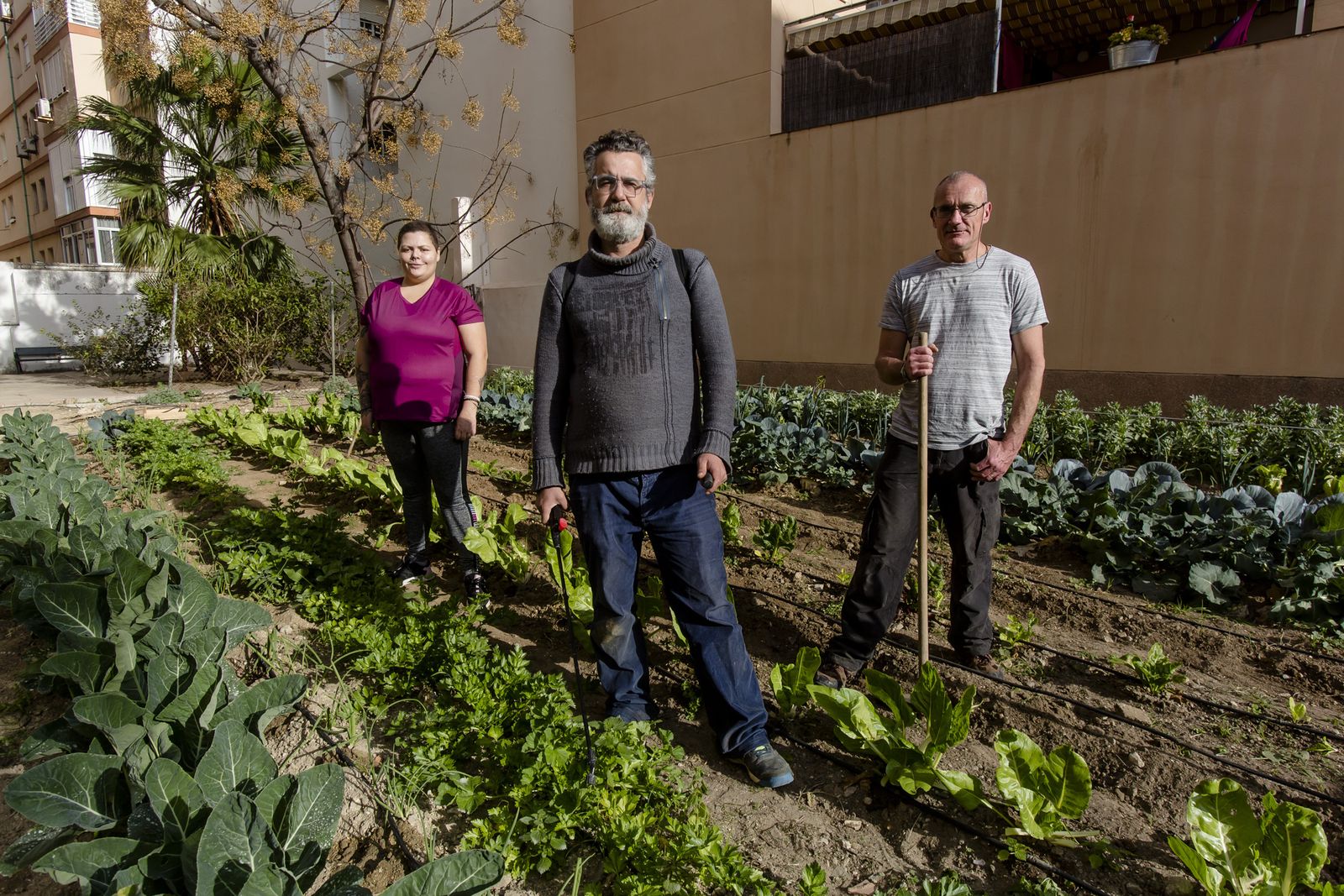 José Lorente (en el centro) con Salvador Cantos y la voluntaria Alejandra Santaclara en el huerto ecológico de FAEM.