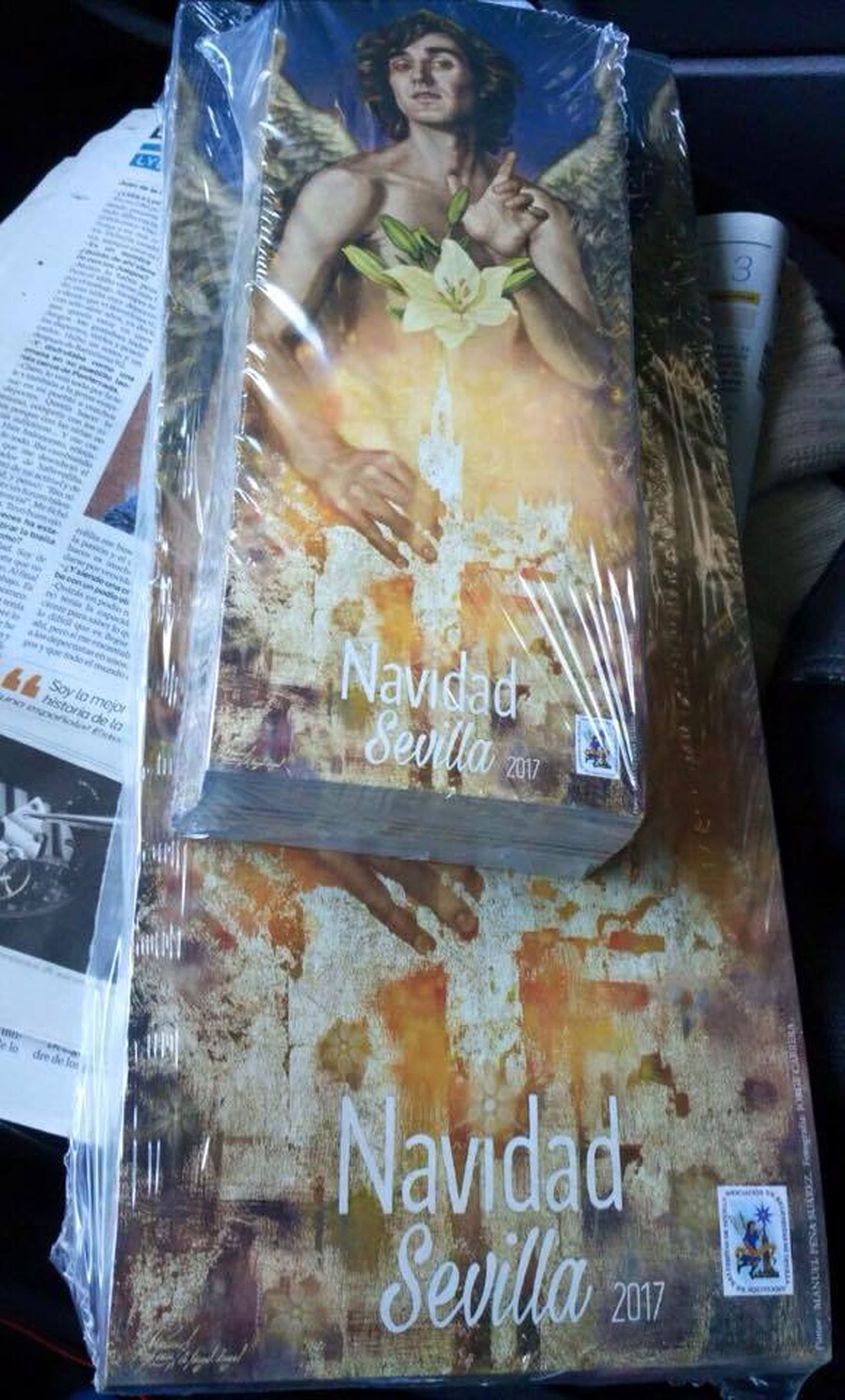 Los ejemplares impresos por el Ayuntamiento.