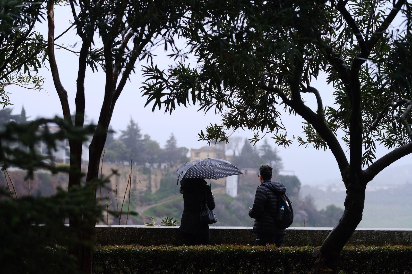 Las imágenes de la lluvia de la borrasca Karlotta en Ronda Las imágenes de la lluvia de la borrasca Karlotta en Ronda