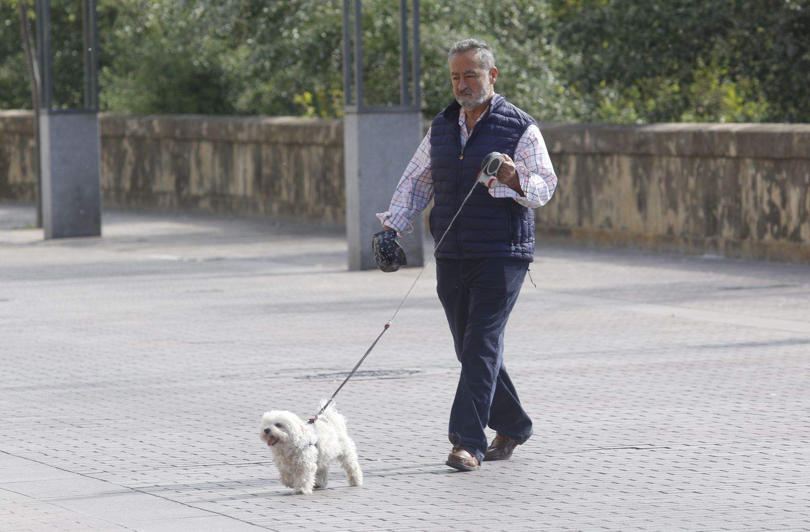 Un hombre pasea a su perro en Córdoba.