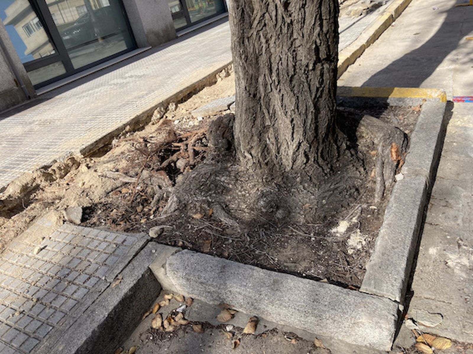 Así son los complicados accesos a los colegios de Cádiz