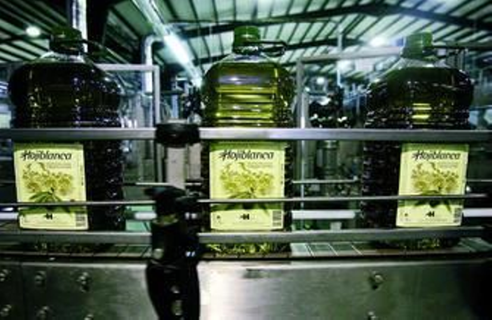 Cadena de envasado de Hojiblanca, con aceite producido en Córdoba.