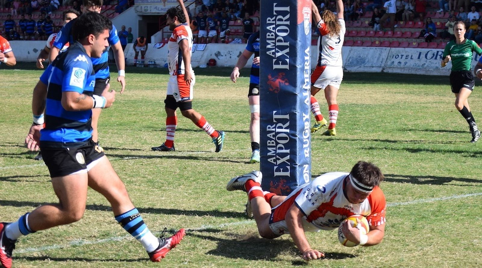 Primer ensayo cruzado, logrado por Giardina
