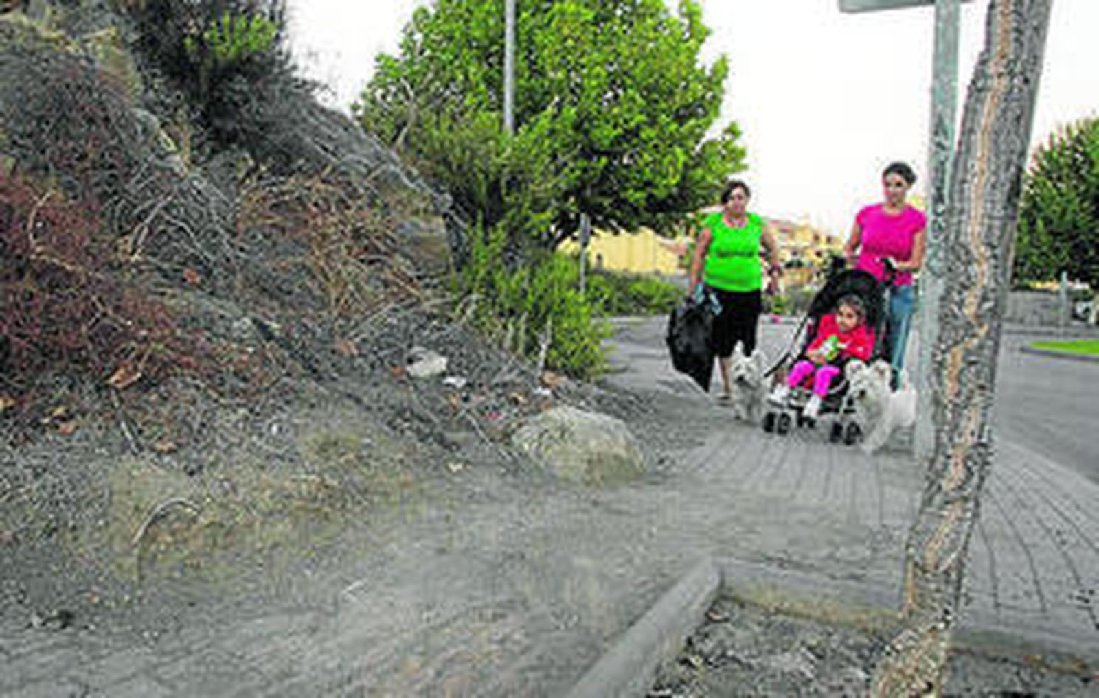 1. La calle central que conecta la variante del acceso sur hasta la avenida 28 de Febrero de San García tiene tramos en los que las señales viales resultan confusas e incluso no se ven las líneas del suelo. 2. En los espacios de las aceras destinados para árboles crece la maleza sin control. 3. En algunas aceras es difícil el tránsito normal por desprendimientos de tierra. 4. Imagen de una de las rotondas de la urbanización cubierta de maleza. 5. Las zonas verdes de la barriada están llenas de suciedad y piedras.