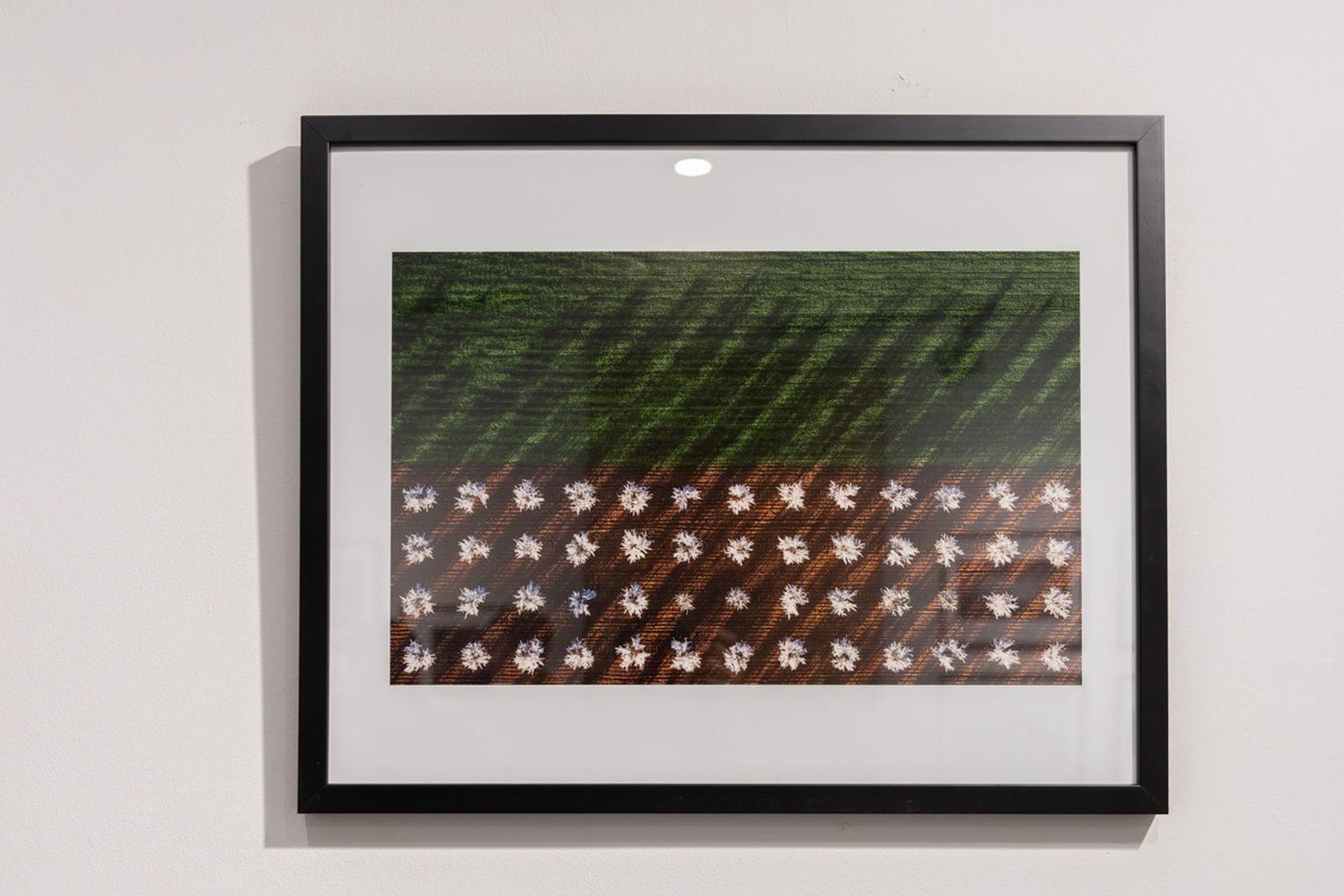 Exposición La Tierra, corazón de la vida, en imágenes