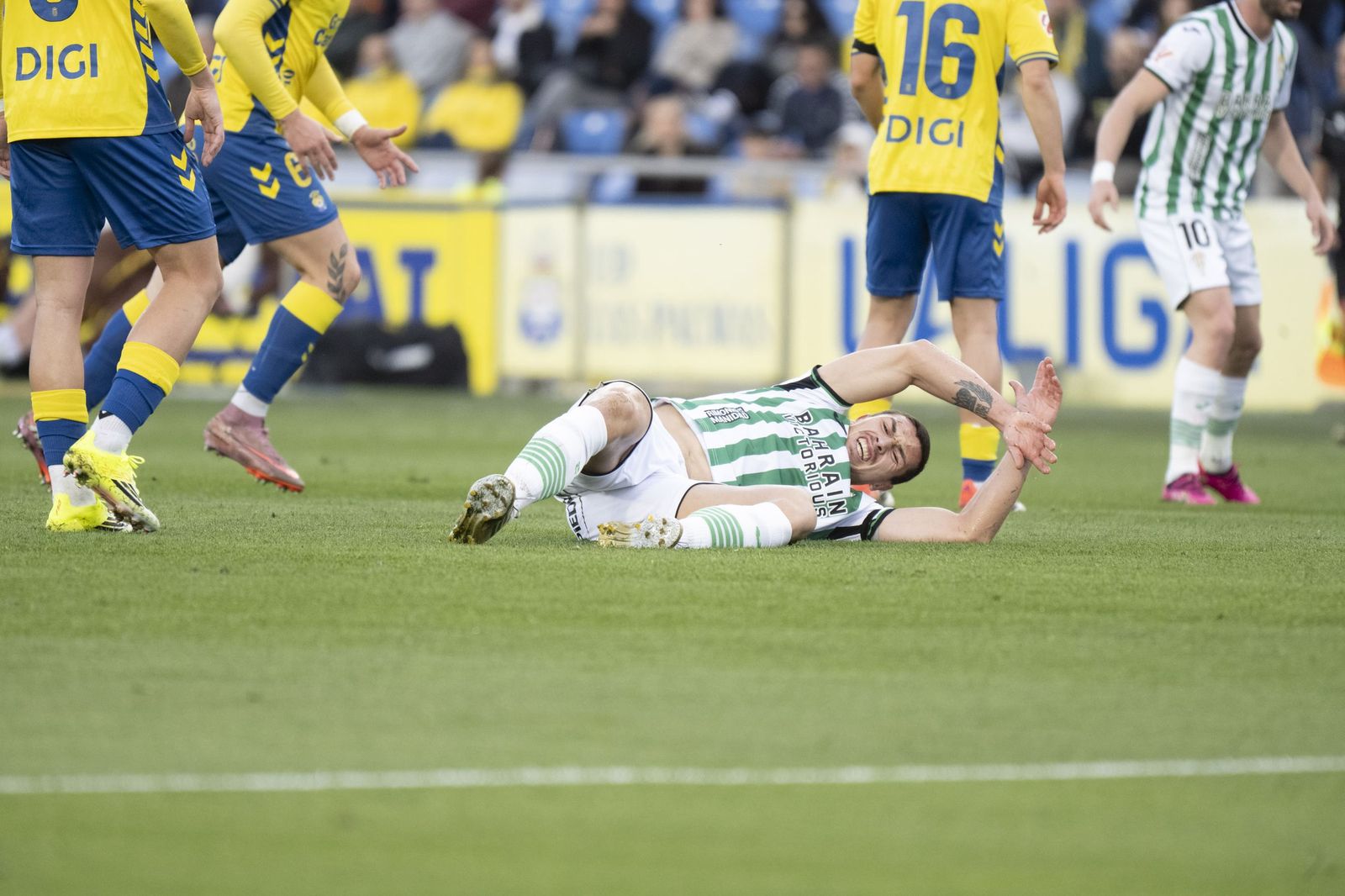 Las mejores fotos del triunfo del Córdoba CF ante Las Palmas