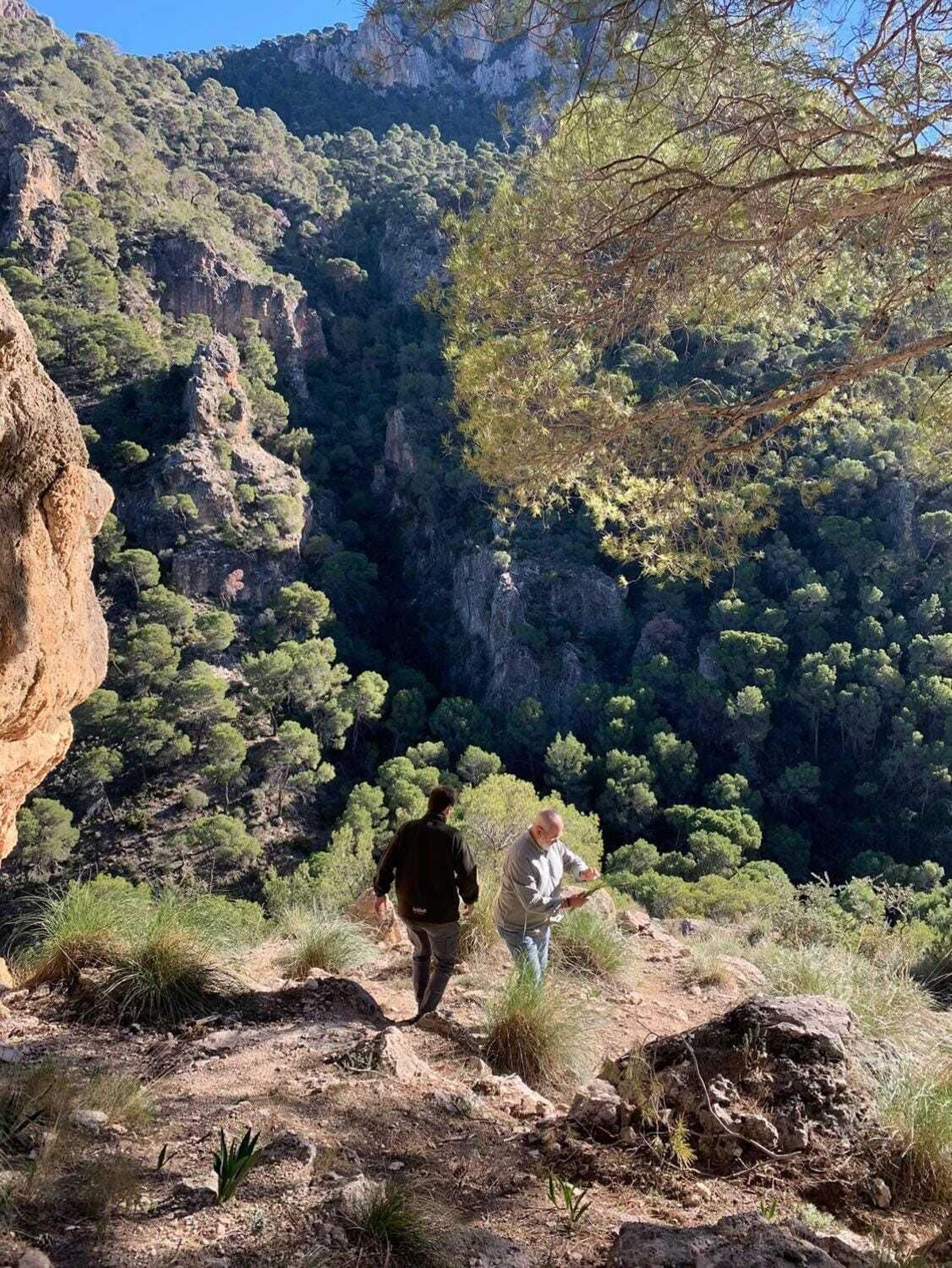 Juan Carlos pasea por el paraje de Otíñar.