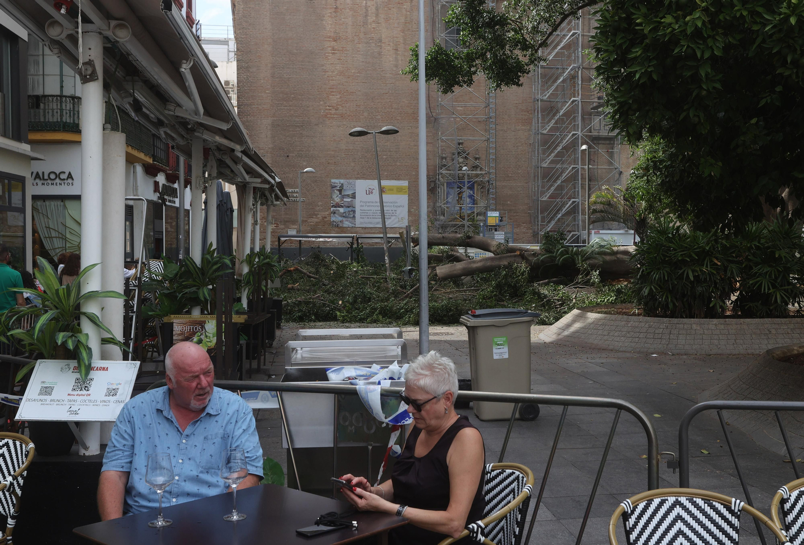 Se cae un árbol en la Encarnación
